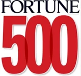 30+ Fortune 500 Companies